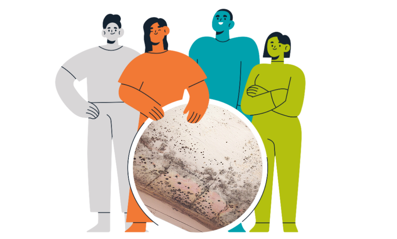 Housing Disrepair Claim Expert 3 6