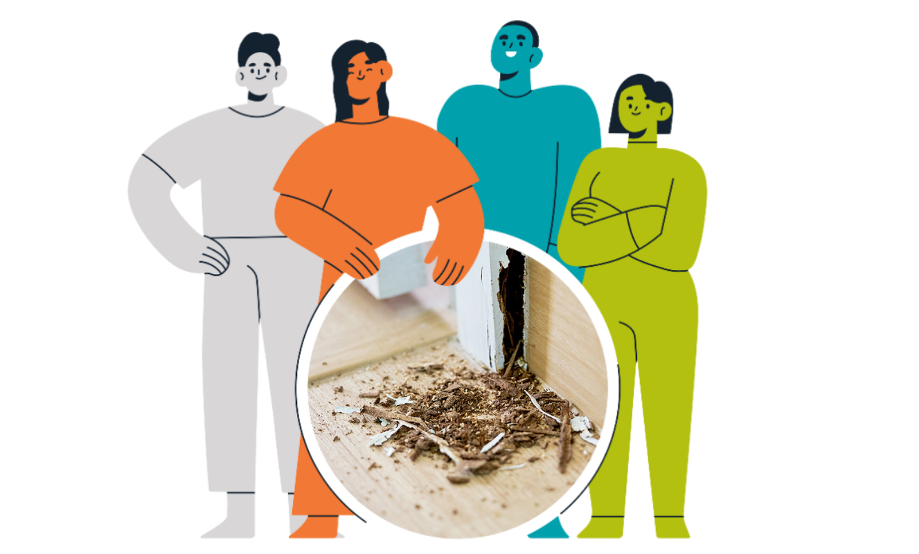 Housing Disrepair Claim Expert 2 7