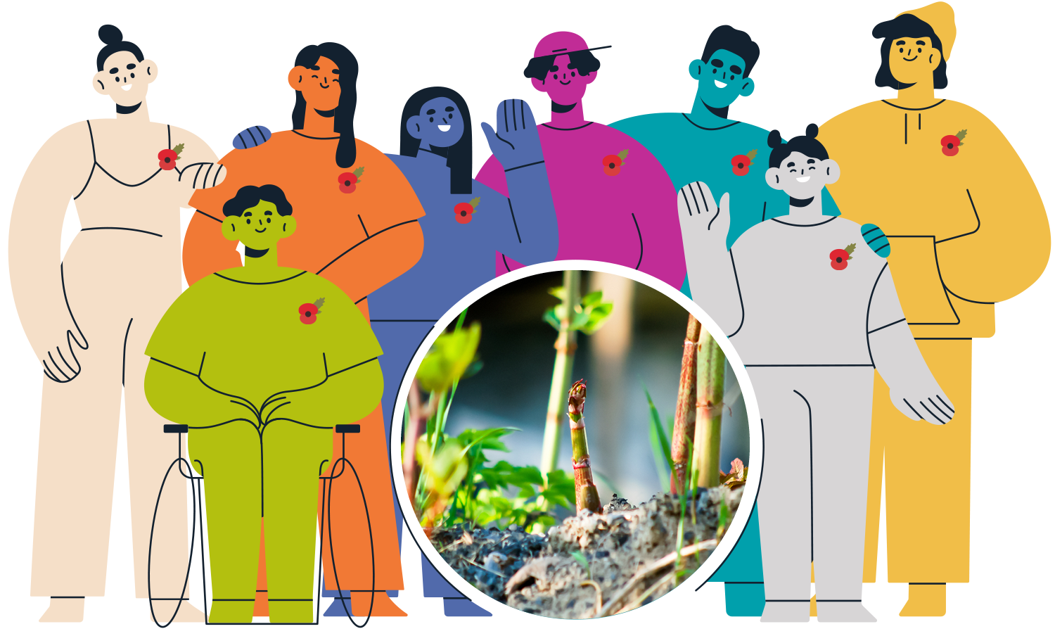 Home 8 TOP-JAPANEASE-KNOTWEED-POPPY