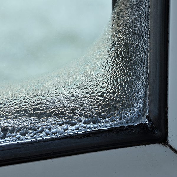 Condensation,And,Damp,Problem,On,The,Inside,Of,A,Double Condensation and damp problem on the inside of a double glazed window.